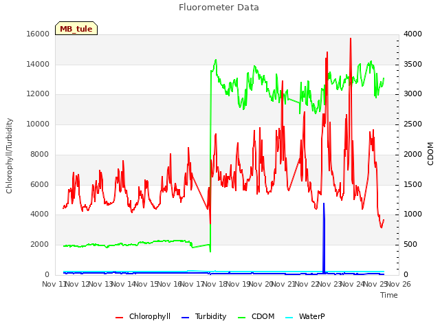 plot of Fluorometer Data