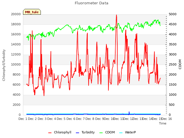 plot of Fluorometer Data