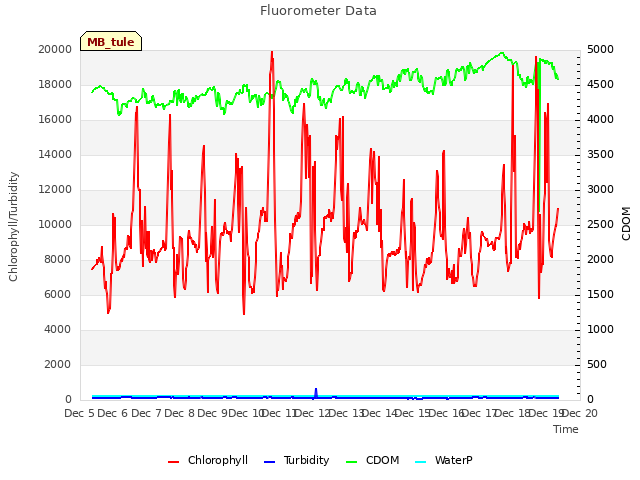 plot of Fluorometer Data