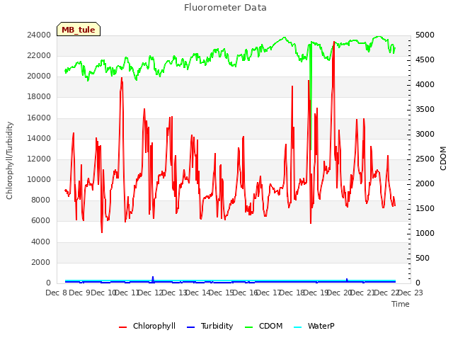 plot of Fluorometer Data