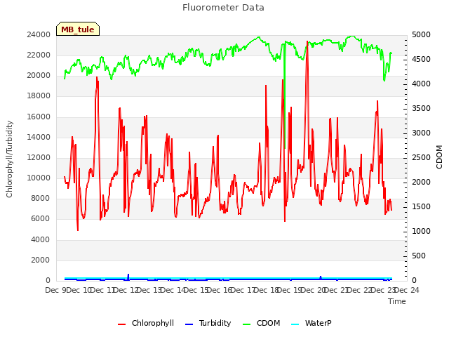 plot of Fluorometer Data