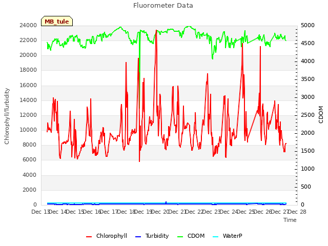 plot of Fluorometer Data