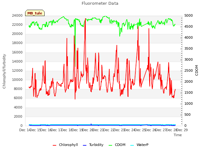 plot of Fluorometer Data