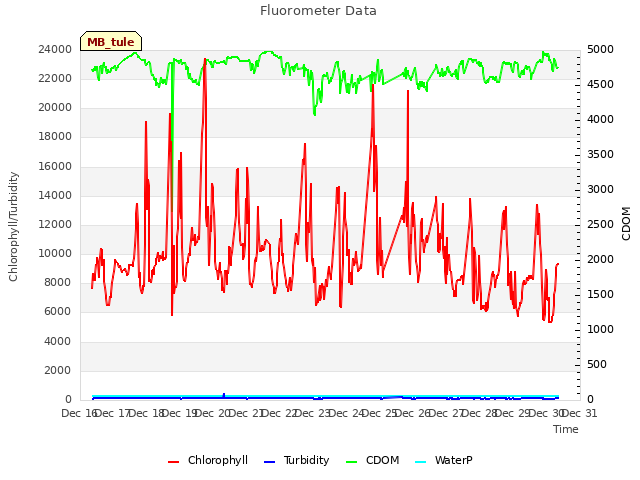 plot of Fluorometer Data
