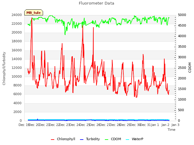 plot of Fluorometer Data