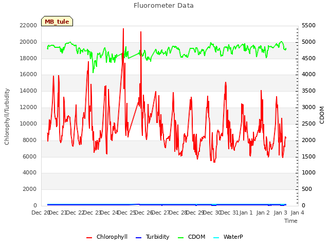 plot of Fluorometer Data