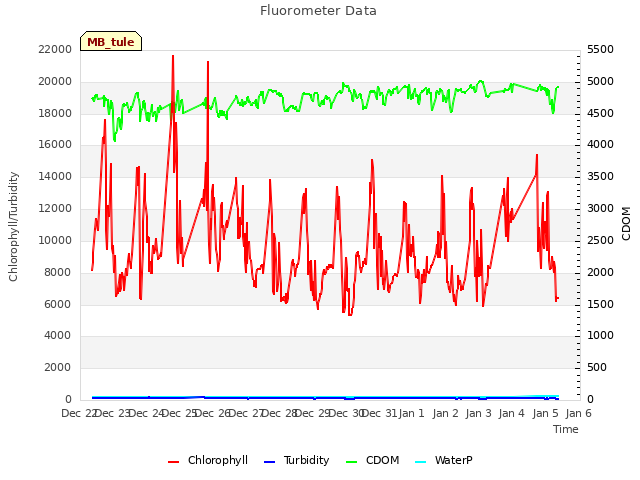 plot of Fluorometer Data