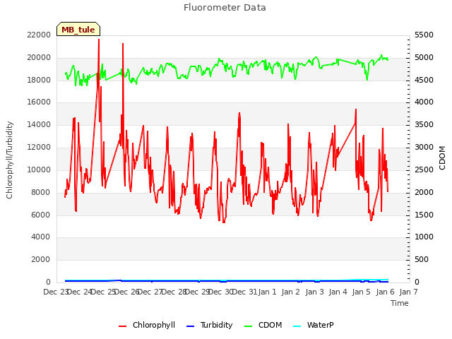 plot of Fluorometer Data