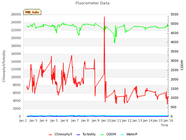 plot of Fluorometer Data