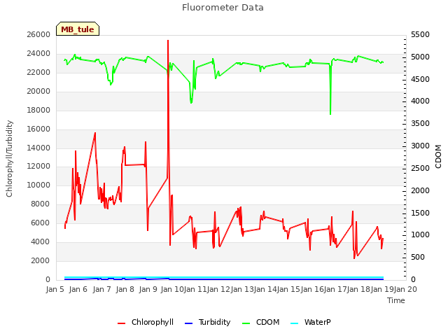 plot of Fluorometer Data