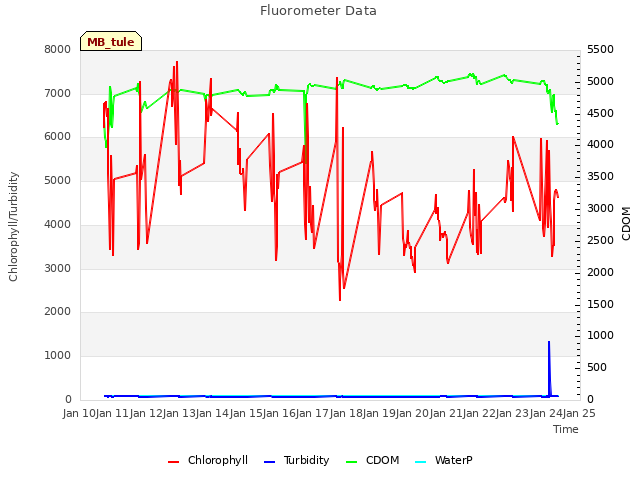 plot of Fluorometer Data