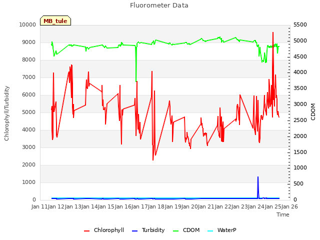 plot of Fluorometer Data