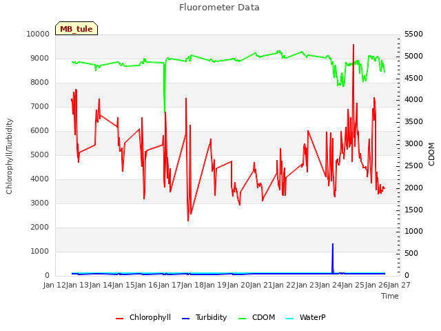 plot of Fluorometer Data