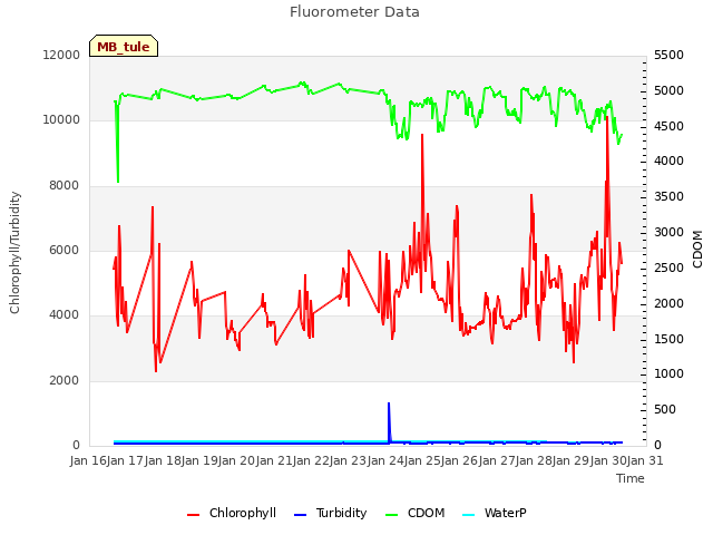 plot of Fluorometer Data