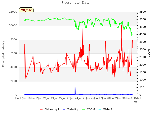 plot of Fluorometer Data