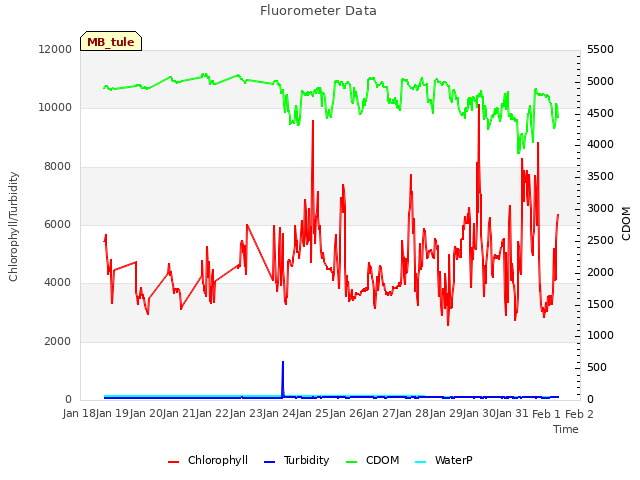 plot of Fluorometer Data