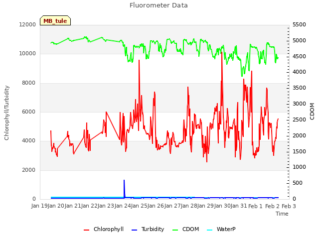 plot of Fluorometer Data