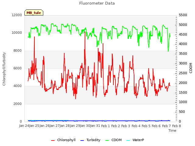 plot of Fluorometer Data