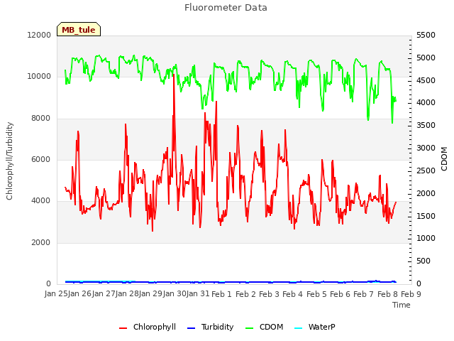 plot of Fluorometer Data