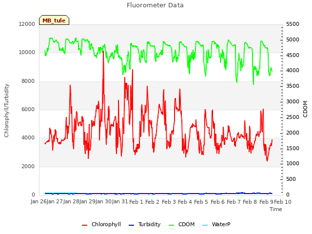 plot of Fluorometer Data