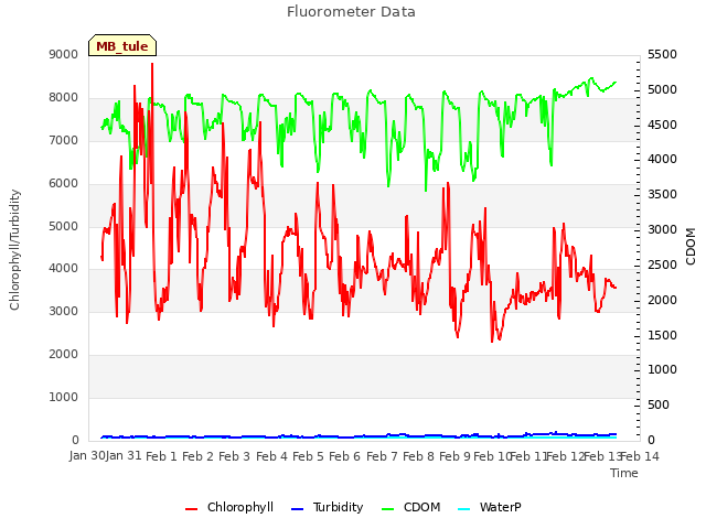 plot of Fluorometer Data