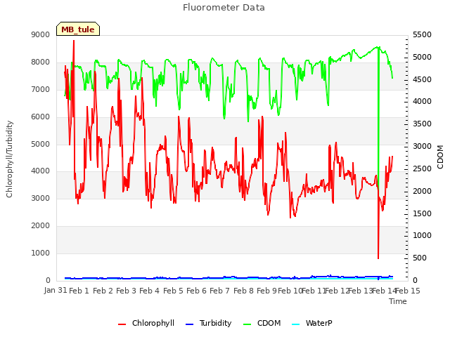 plot of Fluorometer Data