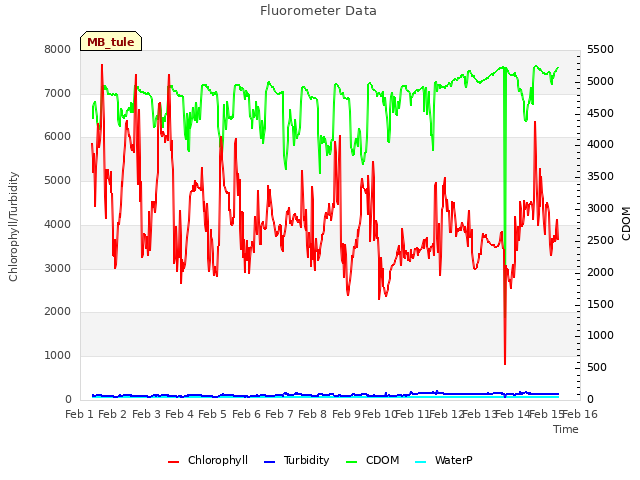 plot of Fluorometer Data