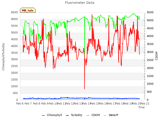 plot of Fluorometer Data