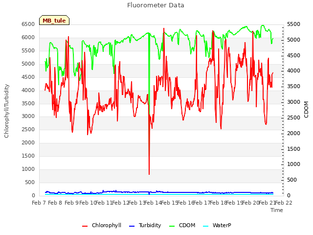 plot of Fluorometer Data
