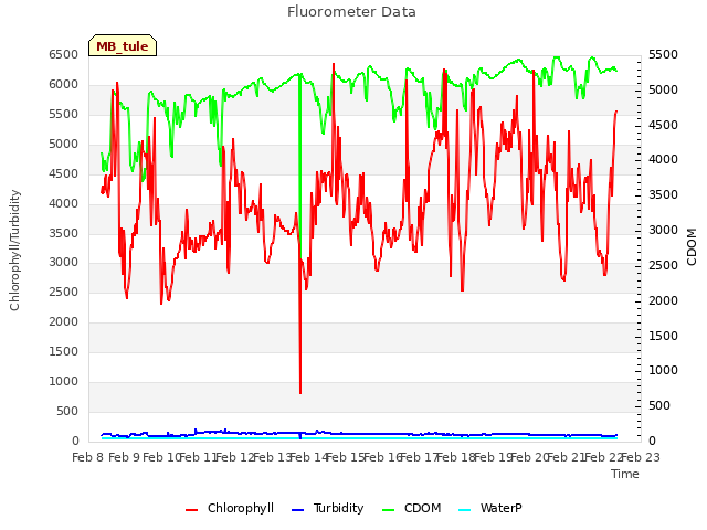 plot of Fluorometer Data