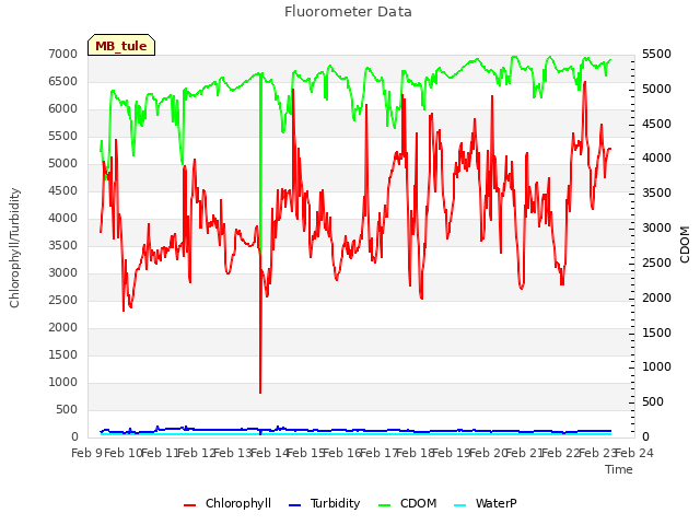 plot of Fluorometer Data