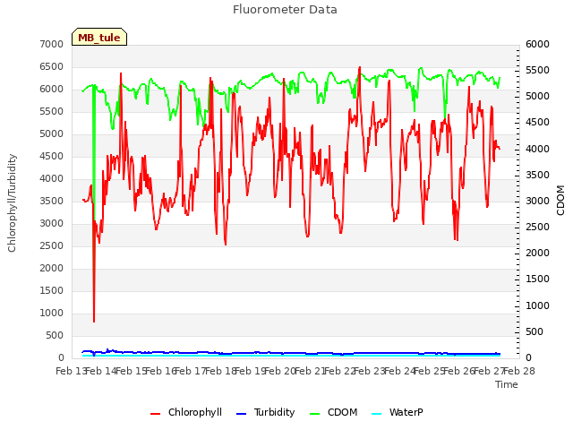 plot of Fluorometer Data