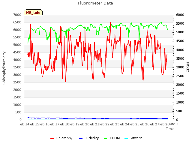 plot of Fluorometer Data