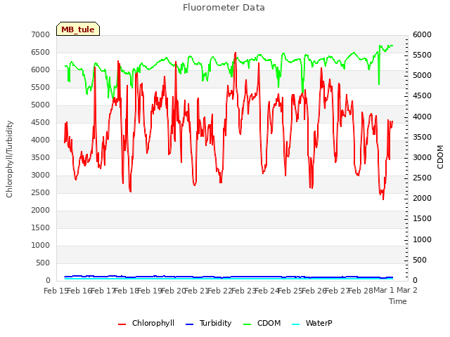 plot of Fluorometer Data