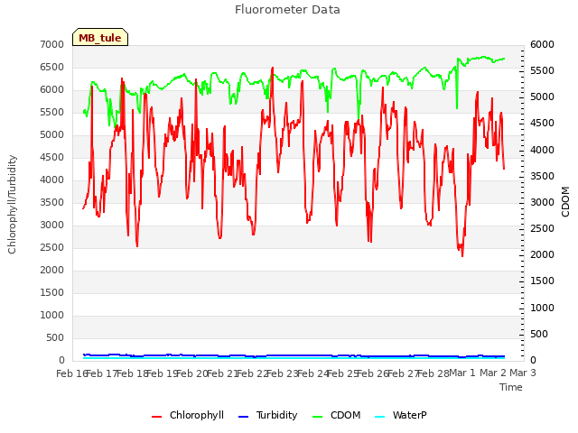 plot of Fluorometer Data