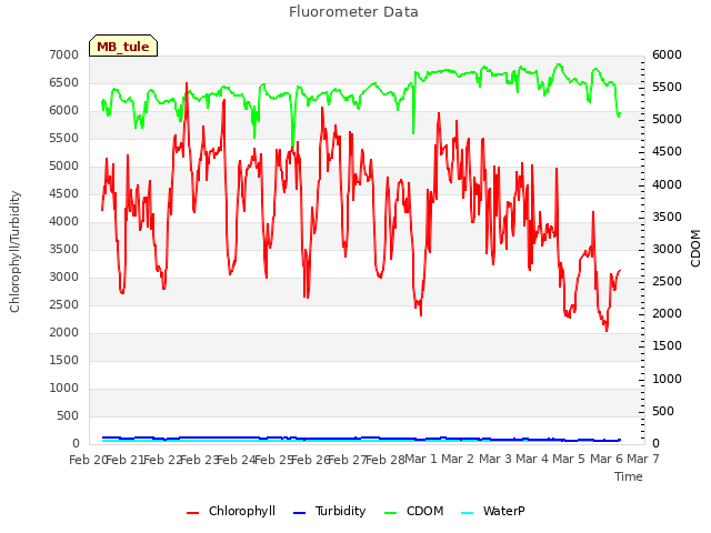 plot of Fluorometer Data