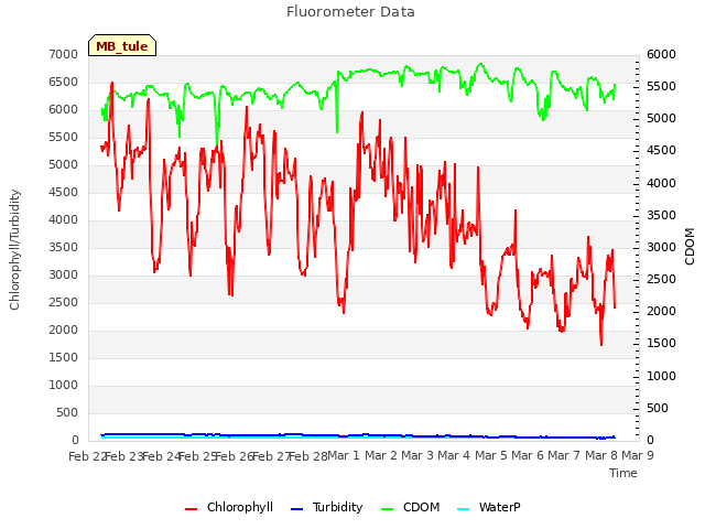 plot of Fluorometer Data