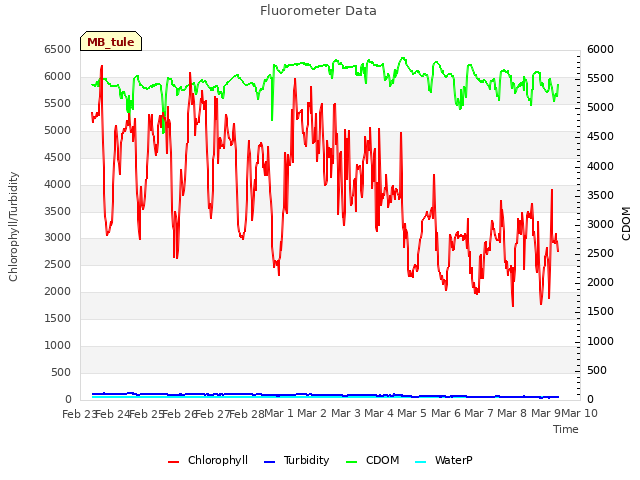 plot of Fluorometer Data