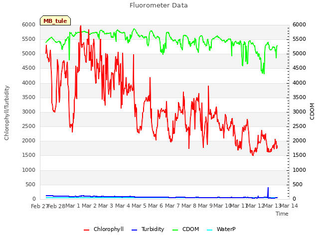 plot of Fluorometer Data