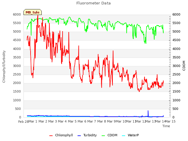 plot of Fluorometer Data