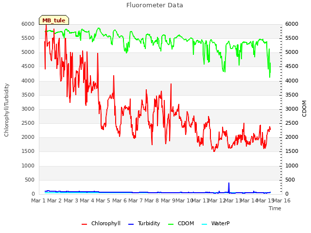 plot of Fluorometer Data