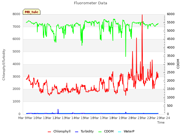 plot of Fluorometer Data