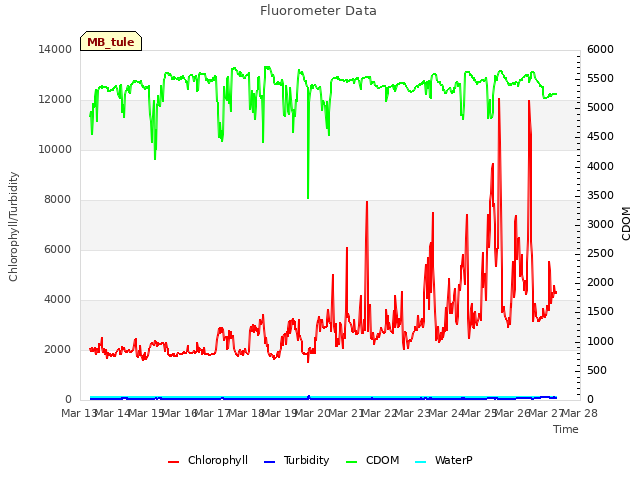 plot of Fluorometer Data