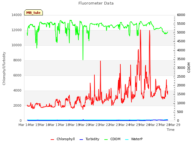 plot of Fluorometer Data