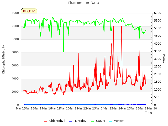 plot of Fluorometer Data