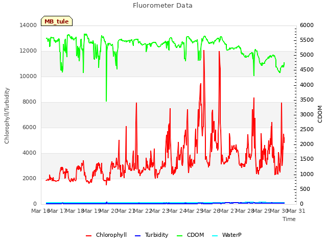 plot of Fluorometer Data