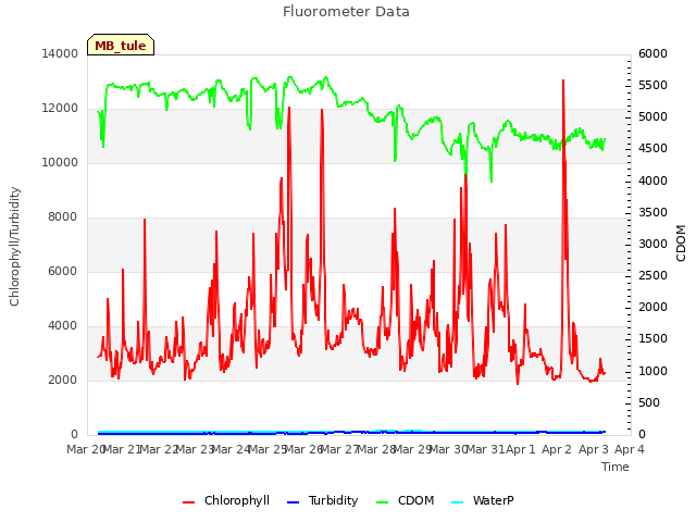 plot of Fluorometer Data