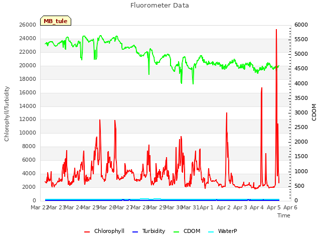 plot of Fluorometer Data