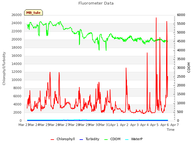 plot of Fluorometer Data