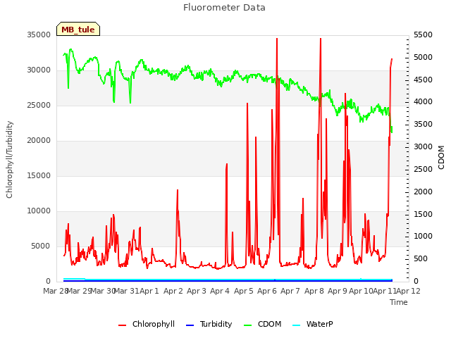 plot of Fluorometer Data